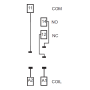 Socket, DIN, 40/44/99.02, 1P, push-in 95.P3