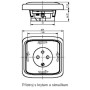 Single socket with protective pin, multiple variants